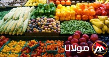 الصادرات المصرية إلى إندونيسيا في 2024: الأسمنت وأربعة سلع رئيسية أخرى