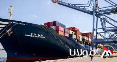 الصادرات الزراعية المصرية تتجاوز 4 مليارات دولار في عام 2024