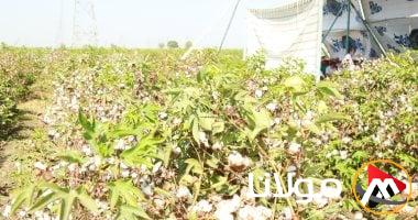 كيف تساهم المدن النسيجية في المنيا والفيوم في تعزيز التصنيع المحلي؟