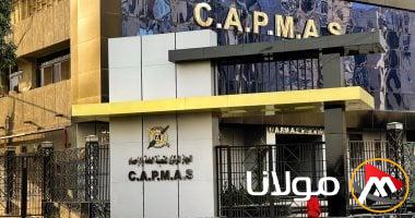 الجهاز المركزي للإحصاء: انخفاض معدل البطالة السنوي إلى 6.6٪ في عام 2024.