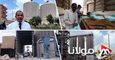 شركة مطاحن الإسكندرية تخطط لاستثمار 4.5 مليون جنيه في العام المالي 25/26