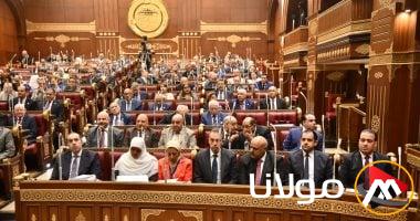 محمد الشيمى: نهدف إلى الوصول لأعلى عائد على الاستثمارات في شركات القطاع العام.