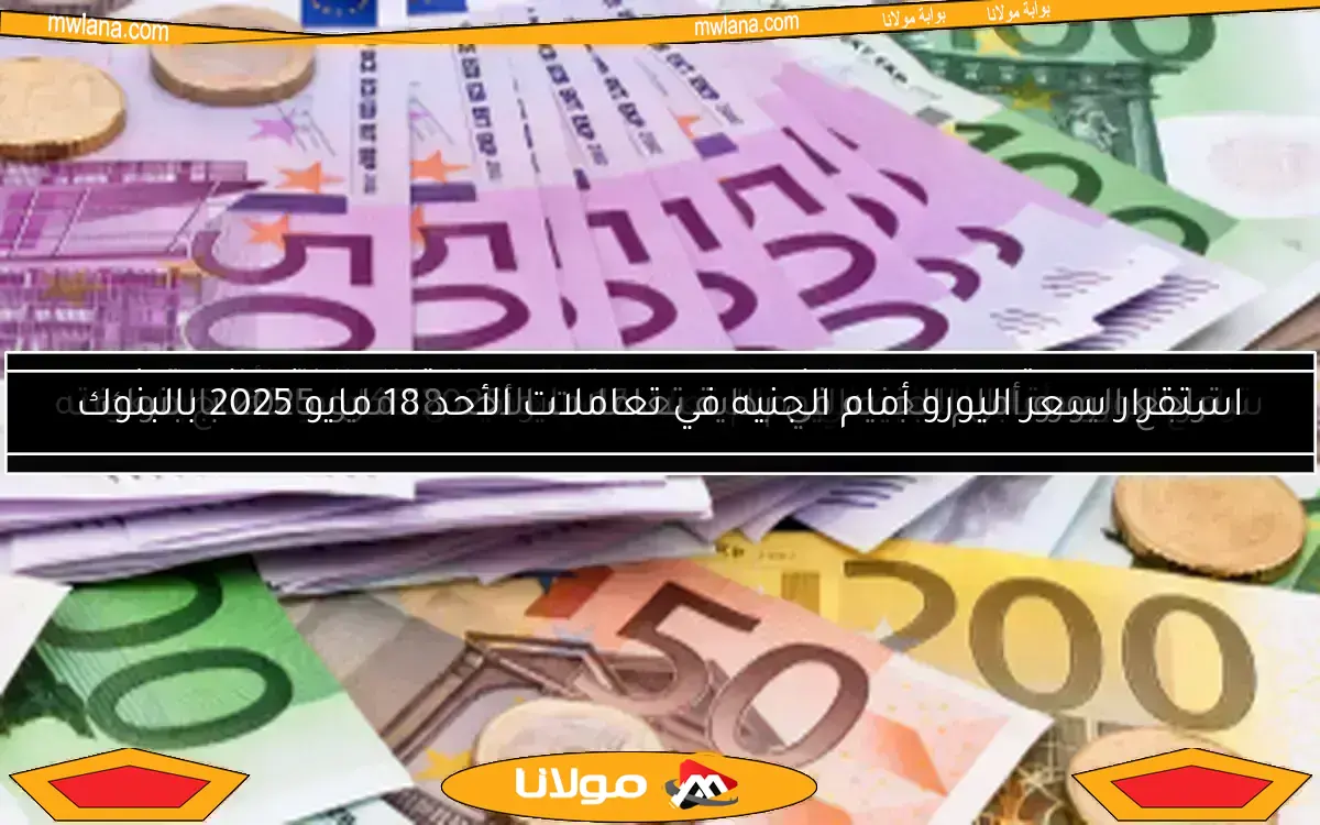 استقرار سعر اليورو أمام الجنيه في تعاملات الأحد 18 مايو 2025 بالبنوك