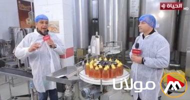 رئيس اتحاد مربي النحل العرب: مصر تصدر سنويًا أكثر من 2500 طن من العسل