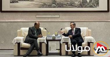 شراكة استراتيجية بين العرب والصين لمواجهة التحديات بقيادة خالد حنفي