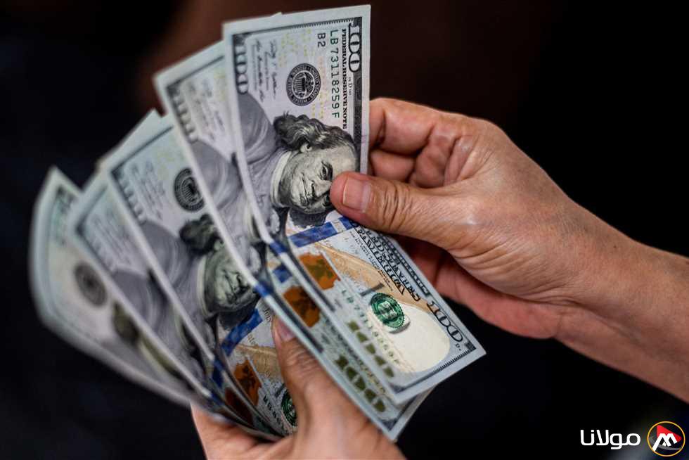 بعد زيادة قيمته.. سعر الدولار الرسمي مقابل الجنيه بوابة مولانا الإثنين 21 أبريل 2025