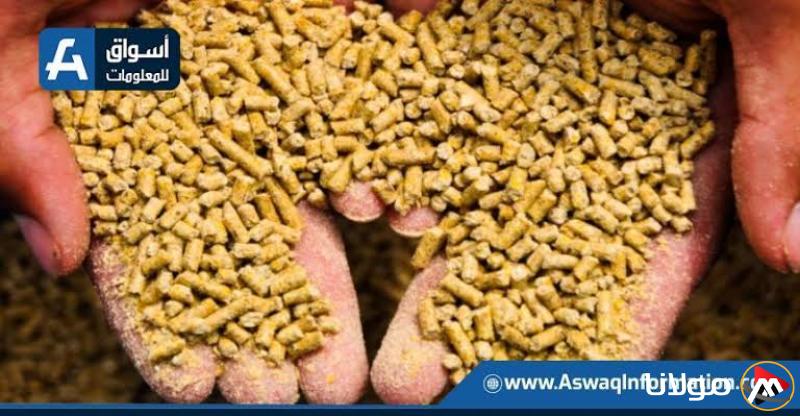 أسعار الأعلاف اليوم الإثنين لدى التجار: كم تكلفة شيكارة العلف؟