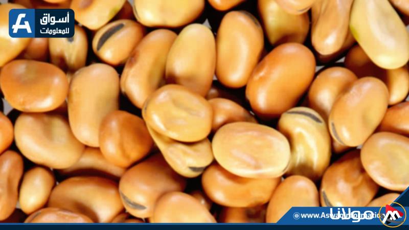 سعر الفول اليوم الأربعاء لدى البائع.. كم بلغ سعره اليوم؟