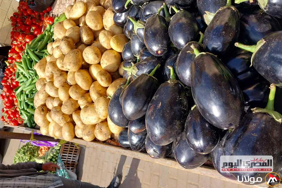 أسعار الخضروات والفواكه في أسواق دمياط: الليمون بسعر 140 جنيهًا