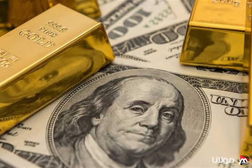 بعد زيادة سعر الدولار وانخفاض سعر الذهب: أين يوجه المصريون استثماراتهم؟