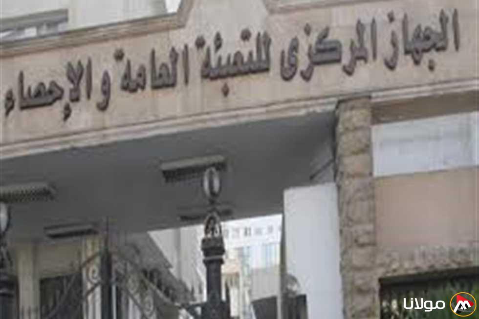 تقرير الإحصاءات: ارتفاع بنسبة 7.3٪ في إنتاج لحوم الطيور والدواجن خلال عام 2023
