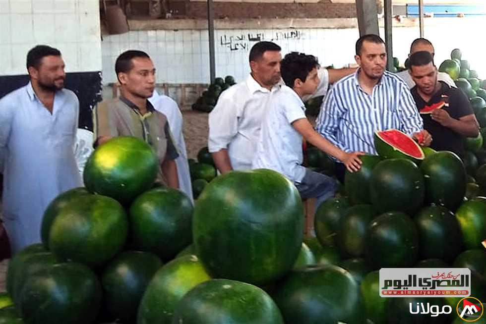 بعد ارتفاع سعر البطيخ إلى 250 جنيهًا.. «الغرفة التجارية» في الإسكندرية: «ثمنه مبالغ فيه، لا تشتروا»