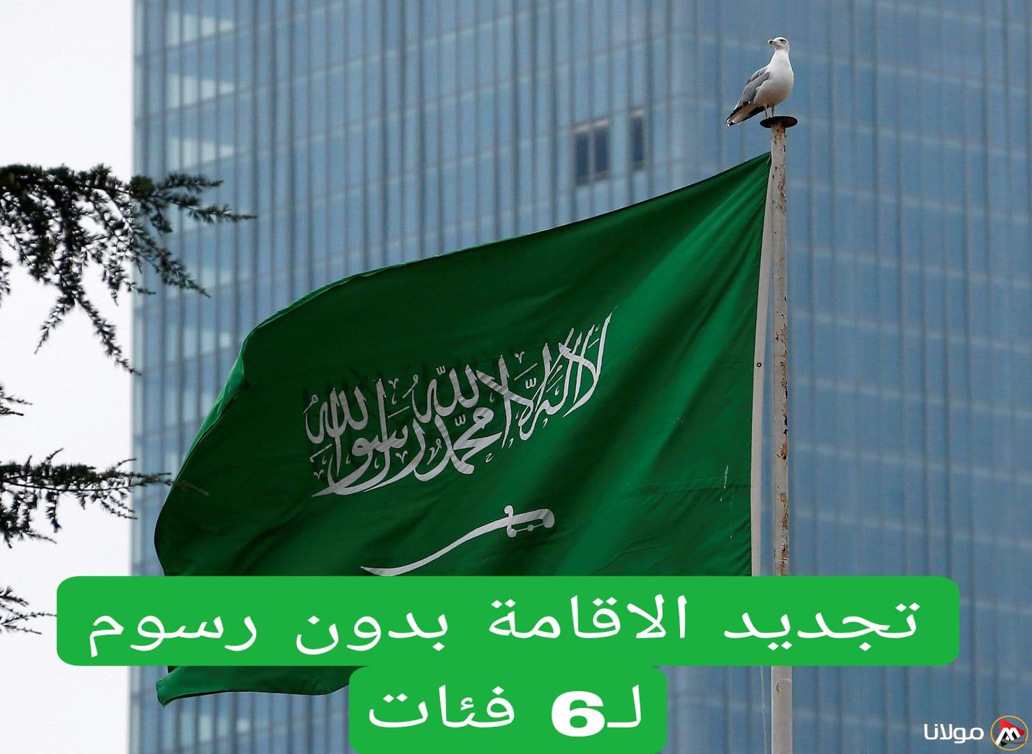“الداخلية السعودية تعلن رسميًا عن تجديد الإقامة مجانًا لست فئات من المغتربين.. هل تندرج ضمنهم؟”