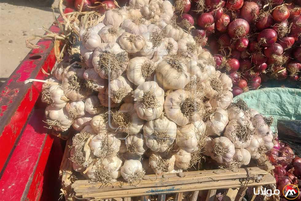 أسعار الفواكه والخضروات غدًا في أسواق دمياط