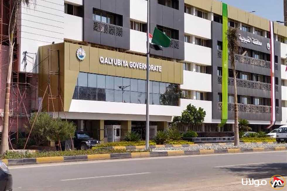 الغرفة التجارية في القليوبية تعقد مؤتمرًا حول “التسهيلات الضريبية الجديدة” يوم الثلاثاء