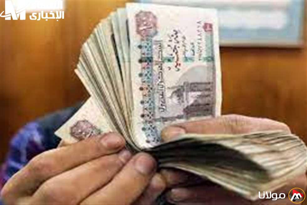 فرصة مميزة للعمالة غير المنتظمة.. كيف تسجل للحصول على دعم شهري ثابت بقيمة 1000 جنيه من الحكومة؟