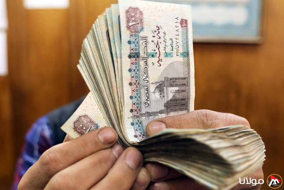 مواعيد صرف معاشات مايو 2025 للمعلمين مع تفاصيل الزيادات الجديدة وجدول الأجور