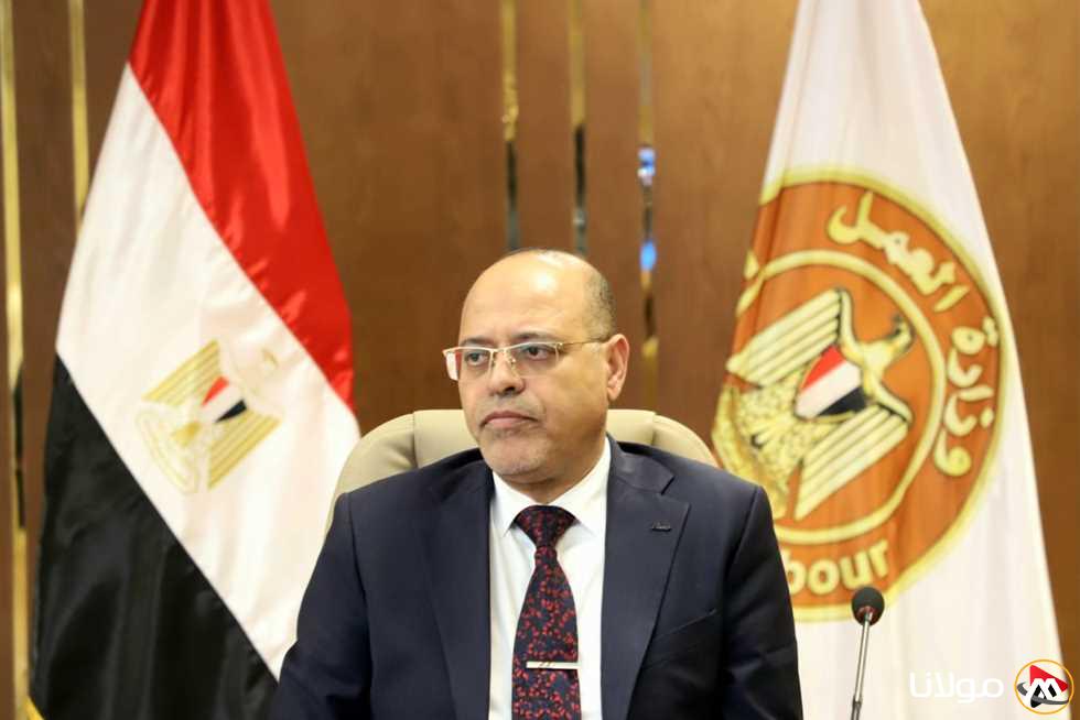 وزير العمل: “استمارة 6” في القانون الجديد تحمل دلالات مختلفة عن استخدامها السابق في إنهاء خدمات العمال بشكل فردي.