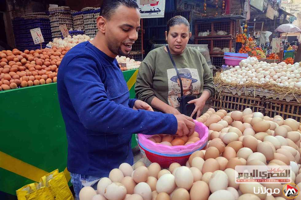 انخفاض ملحوظ في أسعار البيض بالأسواق وبيان شعبة المواد الغذائية يكشف التفاصيل الهامة
