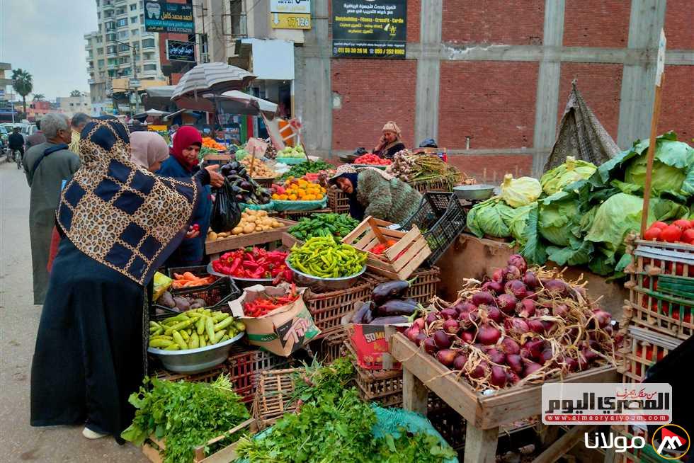 أسعار الطماطم والخيار والخضروات في الأسواق اليوم، الأربعاء 16 أبريل 2025