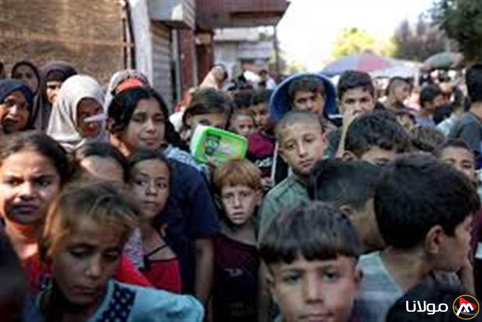 بعد 50 يومًا، ثلاث دول أوروبية تدعو لإنهاء حظر إدخال المساعدات الإنسانية إلى غزة (تفاصيل)