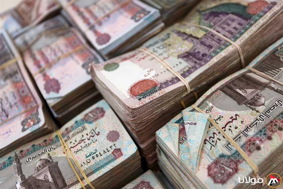 رسميًا: موعد صرف معاشات مايو 2025 بعد تقديم مواعيد صرف الرواتب وقيمة الزيادة الجديدة.