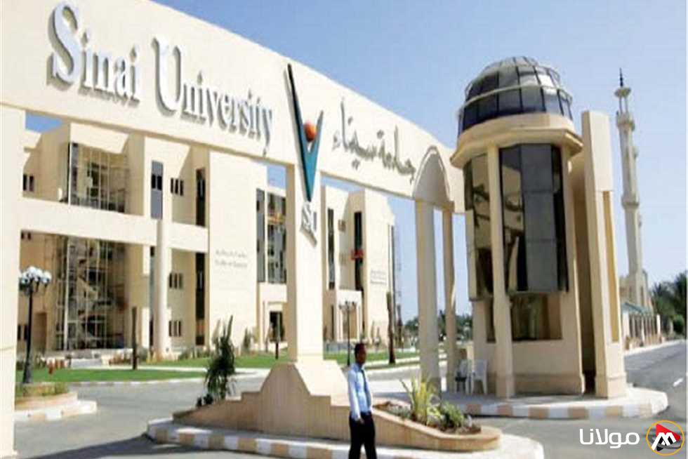 ورشة عمل حول الذكاء الاصطناعي في جامعة العريش يوم الخميس القادم