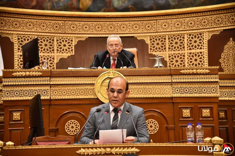 «مجلس الشيوخ» يناقش سُبل الحكومة لتعزيز نظام النافذة الواحدة ومتطلبات التخليص الجمركي