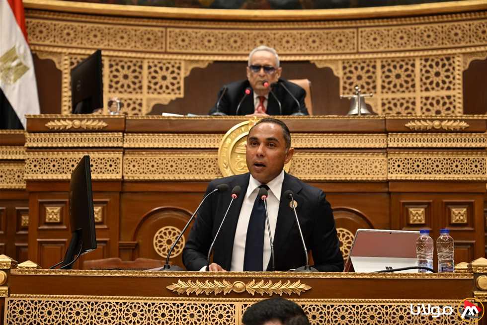 رئيس اللجنة البرلمانية للوفد: معالجة أزمة الإفراج الجمركي ضرورة ملحة.. ومن غير المقبول احتجاز المستوردين بسبب حيازتهم دولارات
