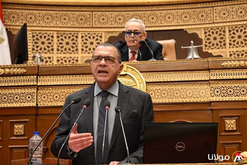 نائب وزير المالية: خطة جديدة للحد من مدة الإفراج الجمركي من 8 أيام إلى يومين