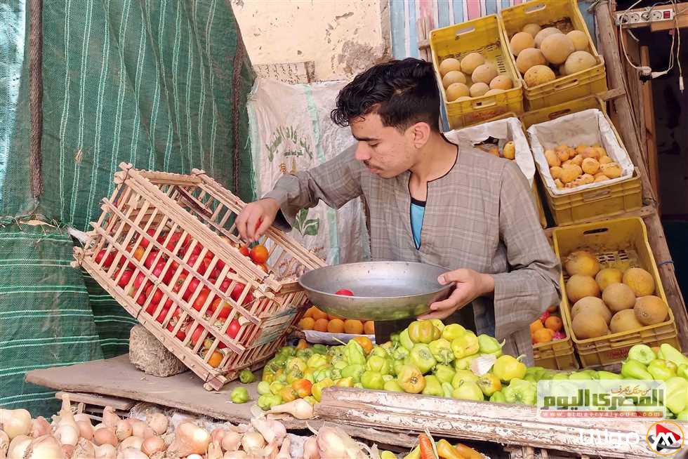 استقرار أسعار الفواكه في مطروح اليوم الخميس 10 أبريل 2025