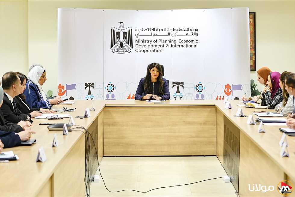 «المشاط» ترأس اجتماعًا تمهيديًا للجنة المصرية المجرية للتعاون في المجالات الاقتصادية والعلمية والفنية