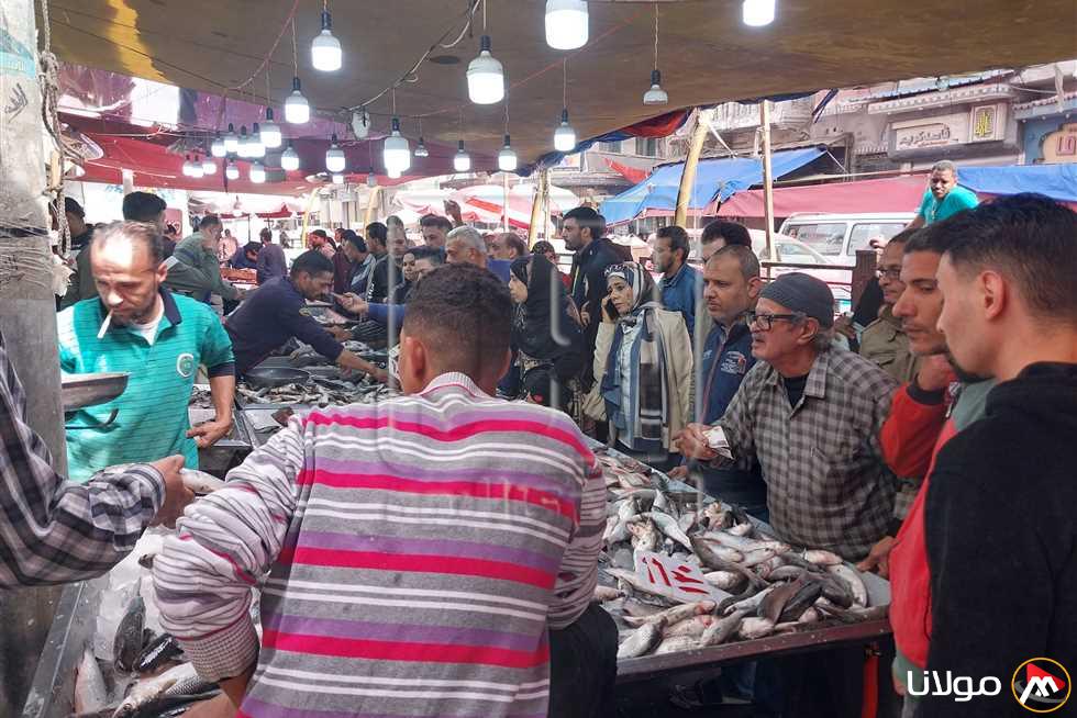 أسعار الأسماك والجمبري والمأكولات البحرية ليوم الجمعة 18 أبريل 2025