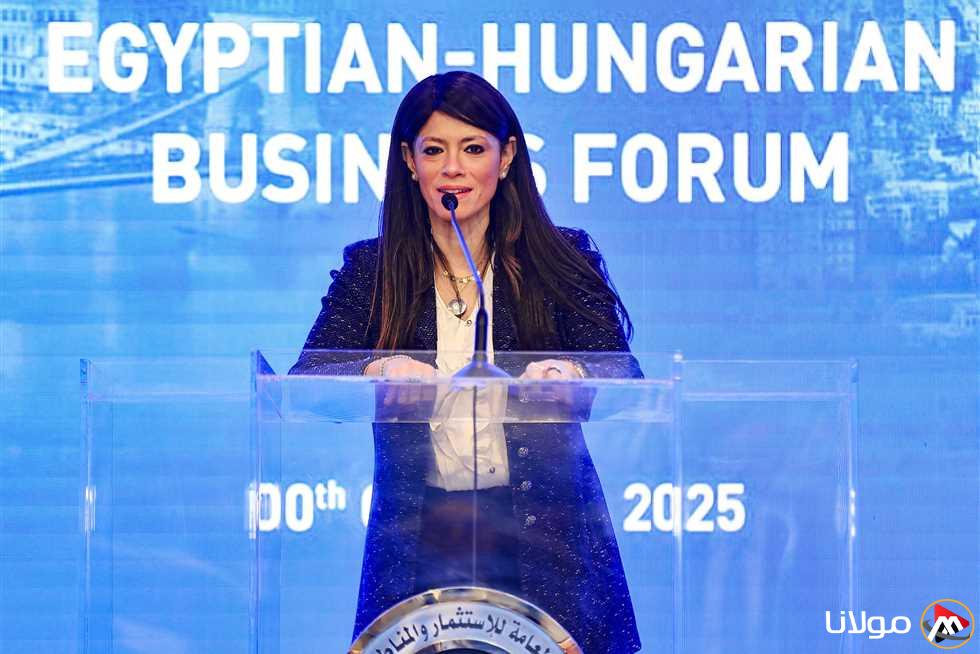 «المشاط»: نحث الشركات المجرية على البحث عن فرص استثمارية في مختلف القطاعات