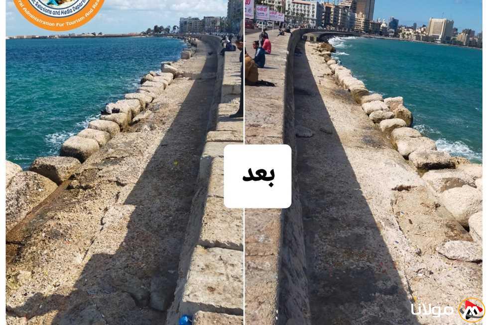 الهيئة المسؤولة عن السياحة في الإسكندرية تتخلص من تراكمات القمامة في كورنيش محطة الرمل استجابة لشكوى أحد المواطنين