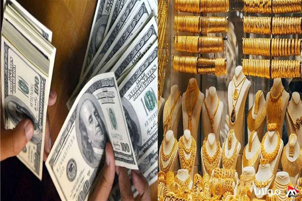 زيادة أسعار الذهب الفورية وهبوط قيمة الدولار لأول مرة خلال 21 شهرًا