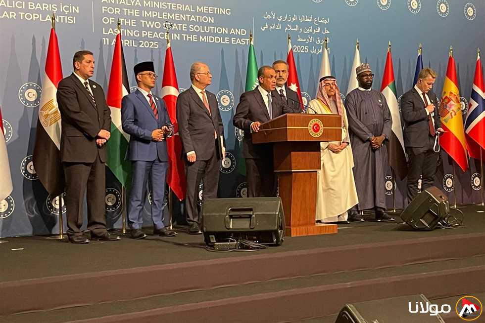 وزير الخارجية يسلط الضوء على خطة إعادة إعمار غزة وسبل التمويل خلال اجتماع اللجنة الوزارية العربية الإسلامية.