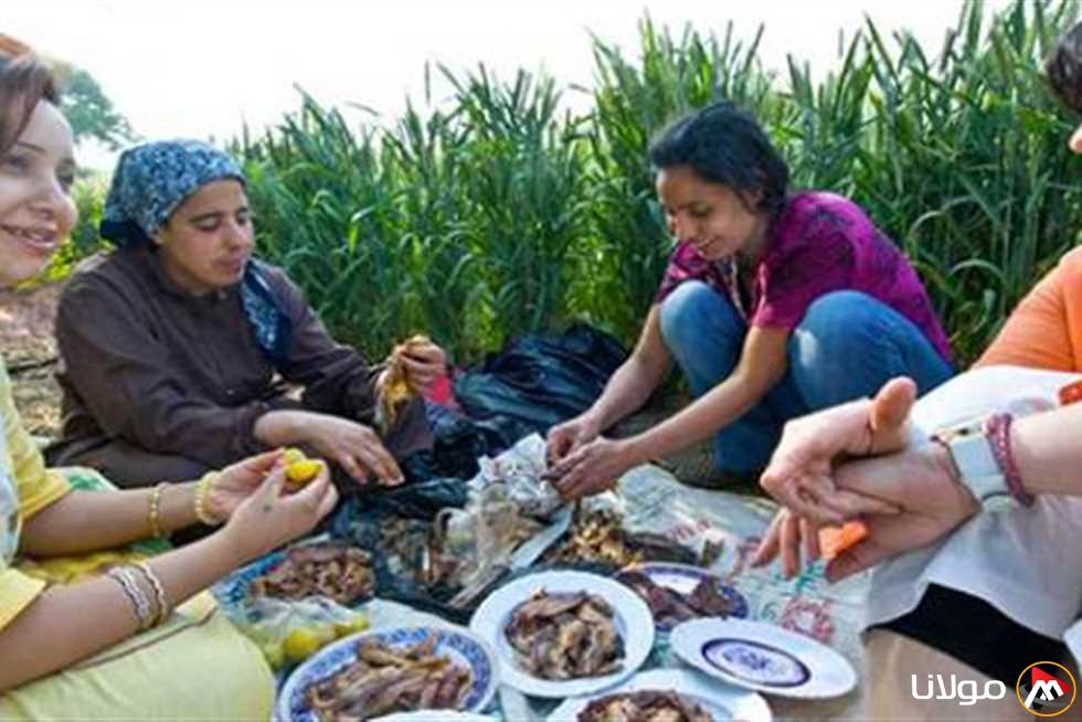 إعلان رسمي: تاريخ إجازة شم النسيم في مصر لعام 2025