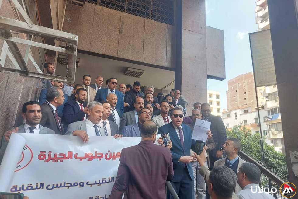 لماذا يرفض المحامون زيادة تكاليف التقاضي؟ (تفاصيل)