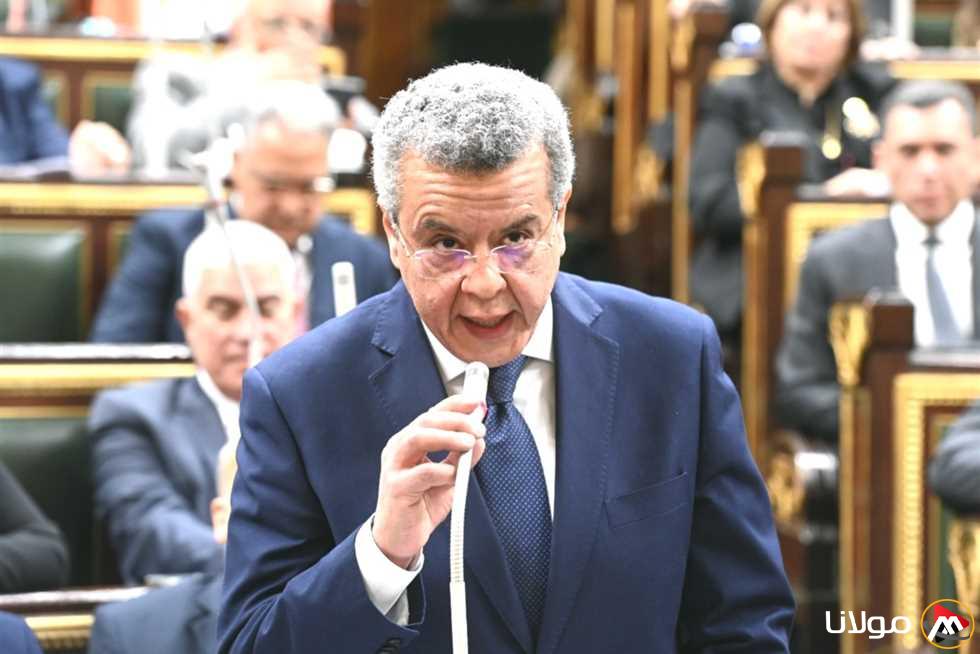 رئيس الجهاز المركزي للمحاسبات: عدم الاستفادة من القروض والمساعدات المخصصة لمشاريع معينة