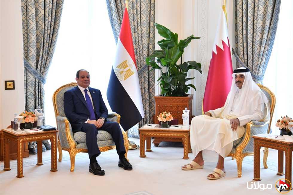 خبير: الاقتصاد المصري يتطلع إلى استثمار قطري بقيمة 7.5 مليار دولار