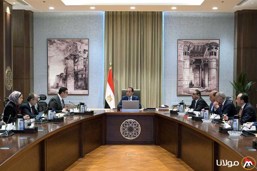 رئيس الوزراء: مصر جاهزة لتنفيذ أي مشاريع تنموية في الدول الإفريقية