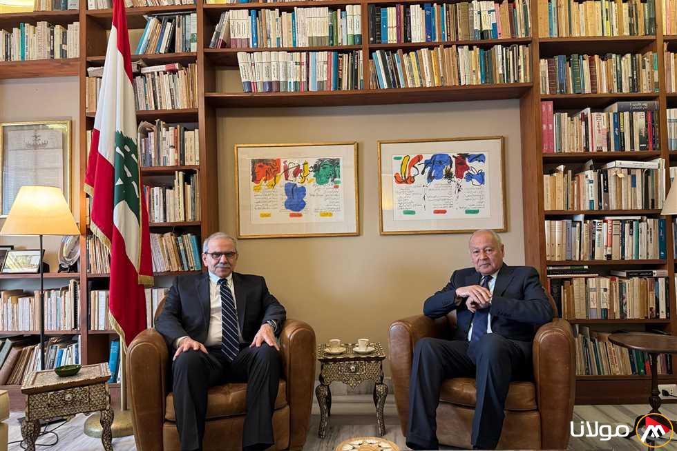 أبو الغيط يعلن دعم الجامعة العربية للبنان في مواجهة أزماته الراهنة