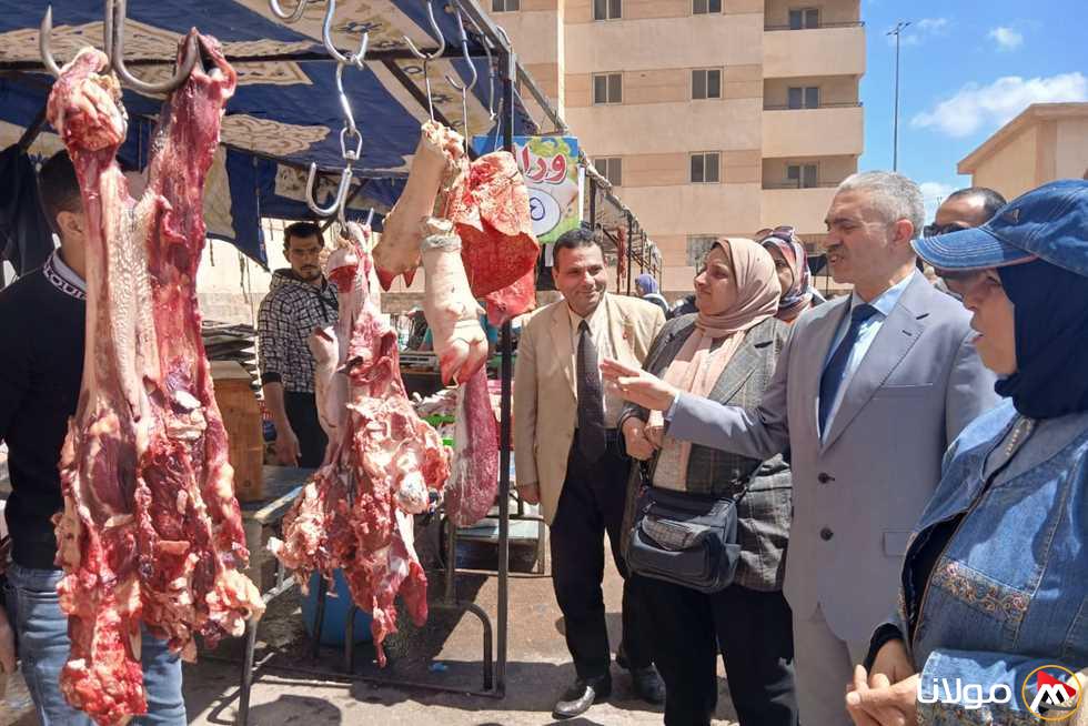 «تشملها لحوم غير معروفة المصدر».. حملة تموينية واسعة في أسواق ومتاجر الإسكندرية (صور)
