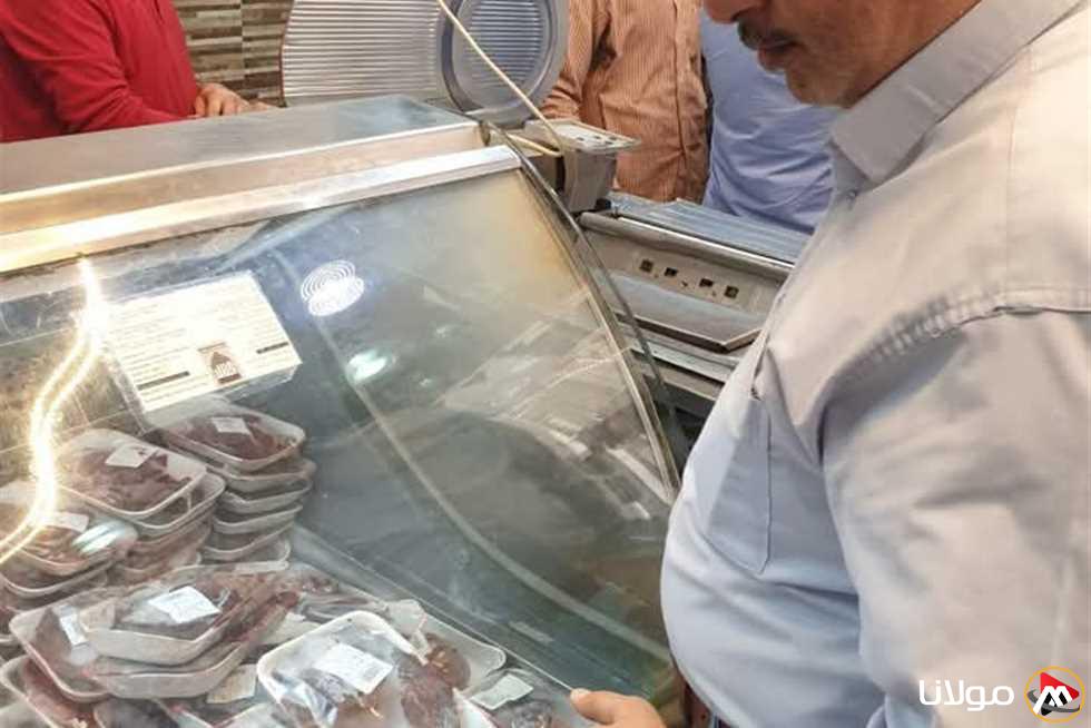 إحباط عملية تهريب 2 طن من اللحوم والدواجن والأسماك المجمدة غير المعروفة المصدر خلال حملات رقابية في الشرقية