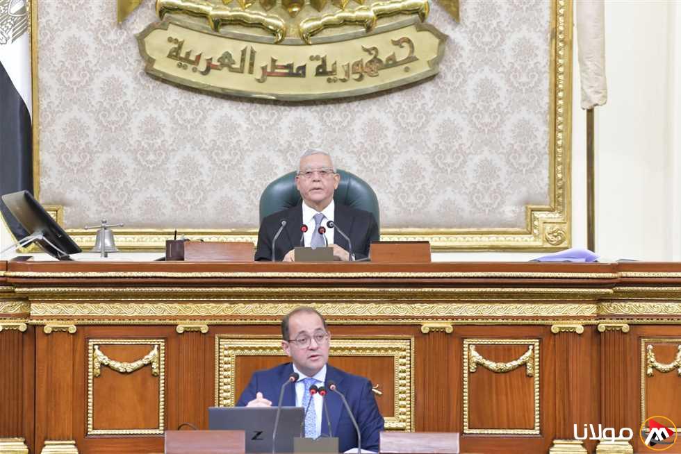 وزير المالية: نهدف إلى تنفيذ توصيات البرلمان.. والقطاع الخاص يتولى القيادة الآن