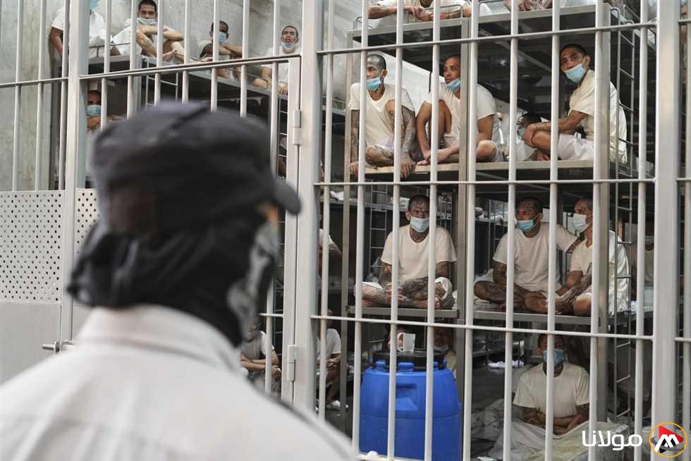 «بعد الإعلان عن نيته incarcerating أمريكيين هناك».. هل يمكن لترامب إرسال مواطنيه إلى السلفادور؟