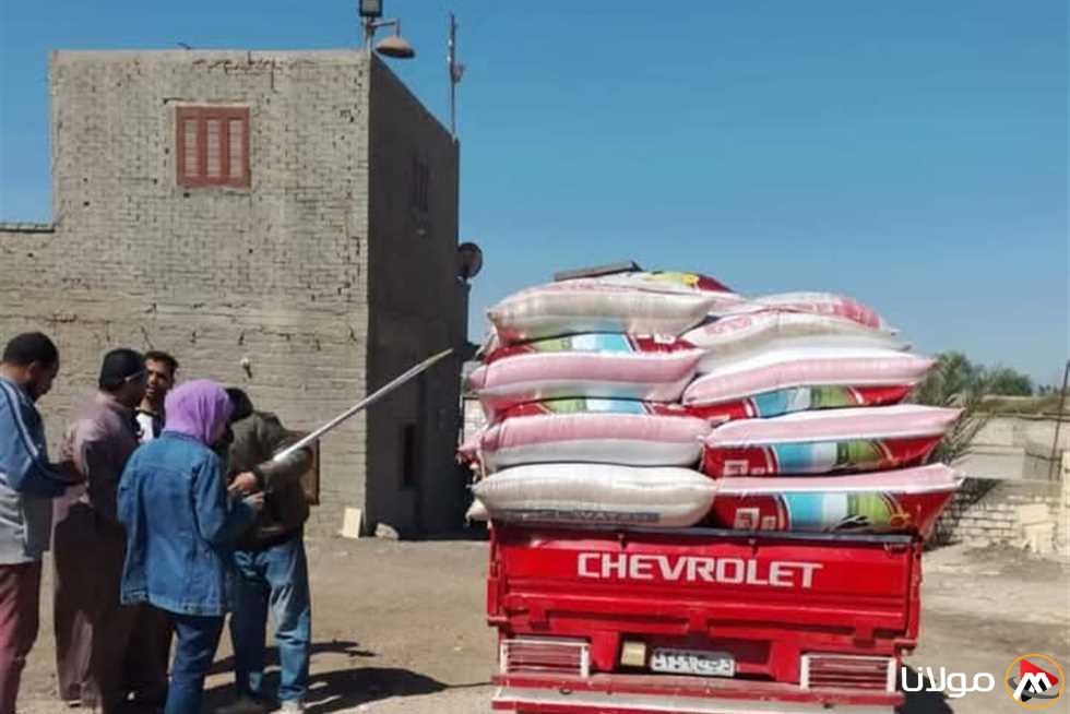 إمداد 1222 طن من القمح إلى الصوامع ومواقع التخزين في منطقة الشرقية