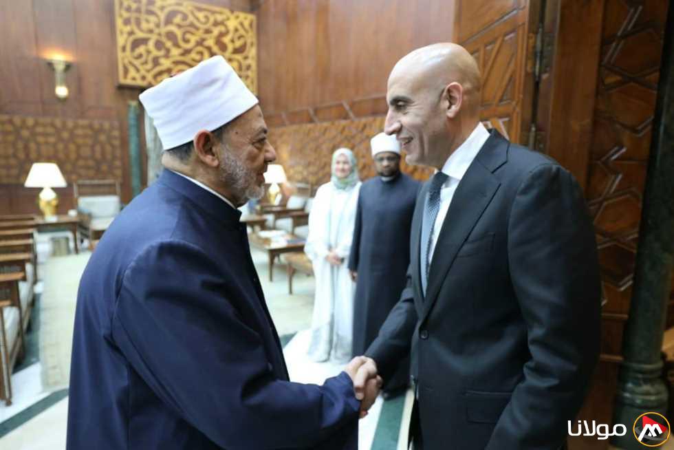 شيخ الأزهر ووزير التعليم يتباحثان إدراج «وثيقة الأخوة الإنسانية» في المناهج الدراسية