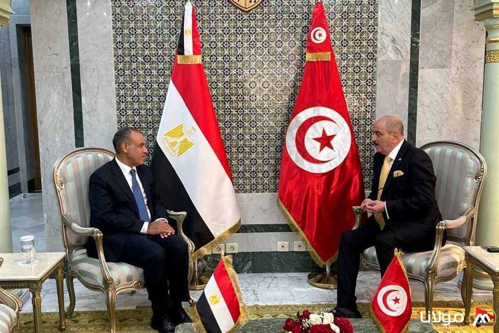 توافق مصري تونسي على أهمية دعم العملية السياسية الليبية دون ضغوط خارجيّة